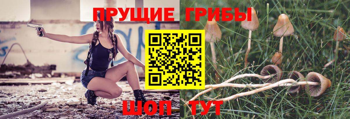 Галлюциногенные грибы Magic Shrooms  Вход с VPN  Галлюциногенные грибы MAGIC MUSHROOMS  Жуковский 